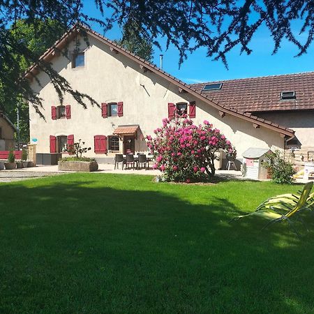 Gite Belle Fleur 6 Personnes- Vosges Villa Saint-Nabord Exterior photo