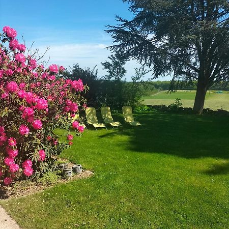 Gite Belle Fleur 6 Personnes- Vosges Villa Saint-Nabord Exterior photo