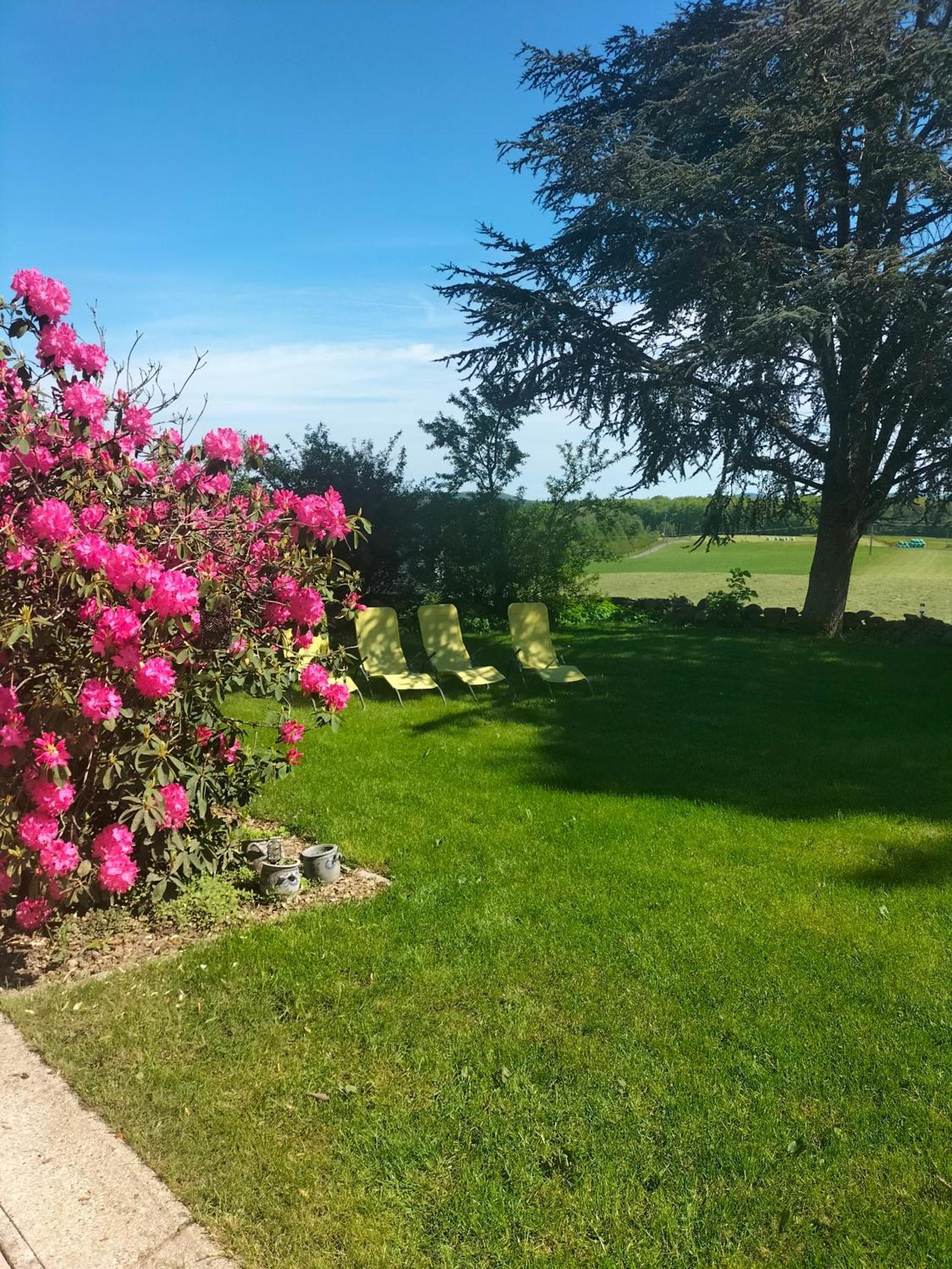 Gite Belle Fleur 6 Personnes- Vosges Villa Saint-Nabord Exterior photo